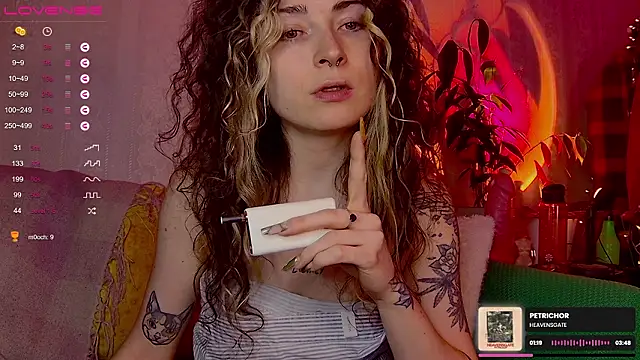 IttyKitty online show from 12, 2, 2026