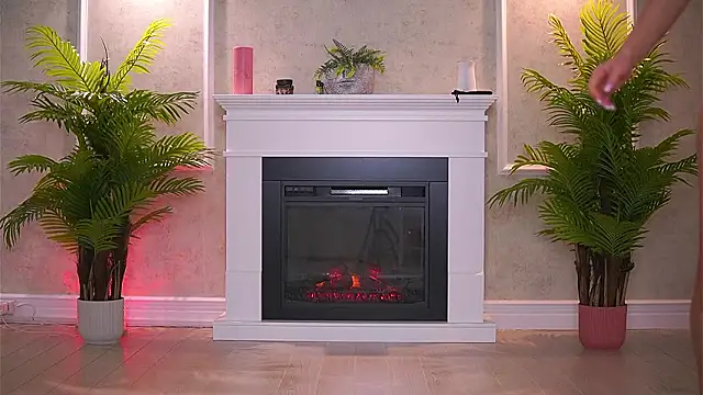 Abbela White online show from 12, 2, 2026