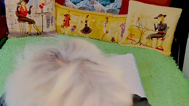 stiphlermom online show from 29, 11, 2025