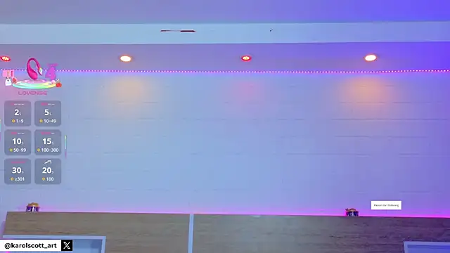 KAROL-SCOTT online show from 13, 1, 2026