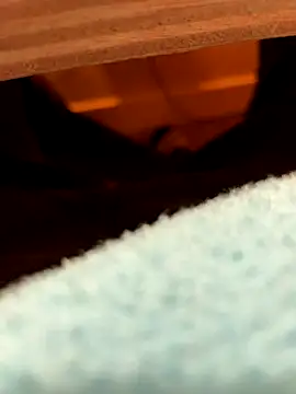 la chiennete online show from 10, 11, 2025