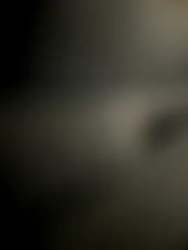 la chiennete online show from 21, 12, 2025