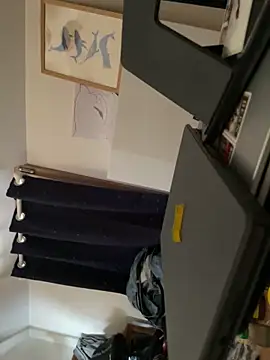 la chiennete online show from 13, 2, 2026