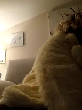 Merilulla online show from 14, 11, 2025