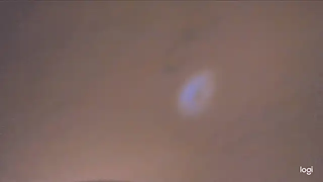 MYFAVOURITESTRAGER online show from 11, 2, 2026