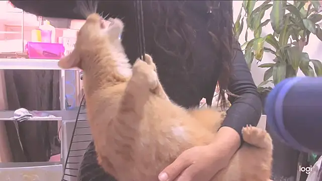 MYFAVOURITESTRAGER online show from 10, 3, 2026