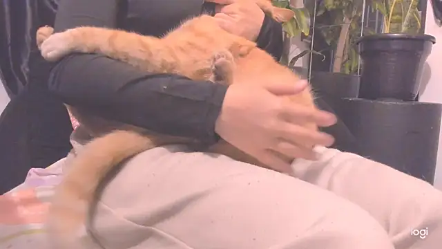 MYFAVOURITESTRAGER online show from 23, 11, 2025