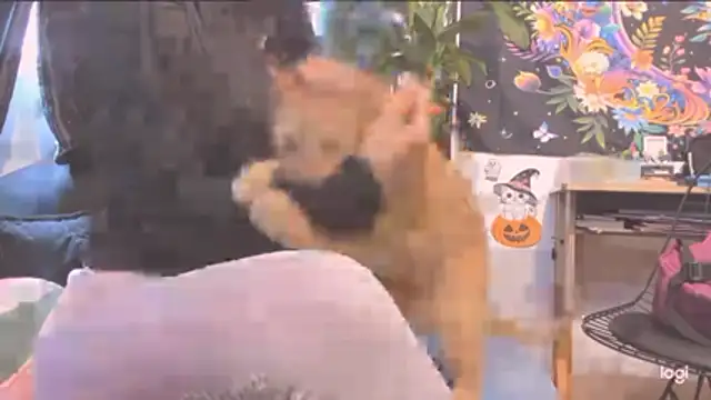 MYFAVOURITESTRAGER online show from 30, 10, 2025