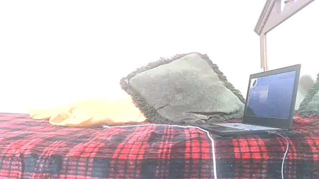 blkhereforall online show from 26, 10, 2025