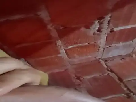 w31 online show from 21, 11, 2025