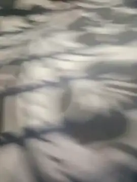 MariaGaitan online show from 12, 11, 2025