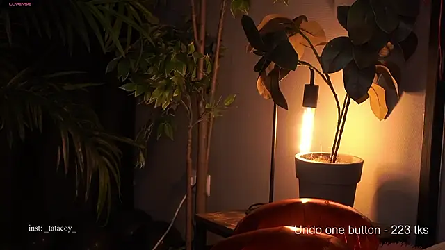 TataCoy online show from 15, 2, 2026