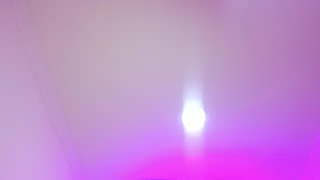 nalalye cruzz  online show from 5, 4, 2026