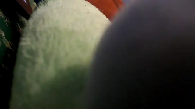Snapshot of EllyseJenner chatting on 30, 4, 2026 EllyseJenner online show from 30, 4, 2026