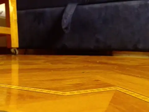 Snapshot of alphaswitchard chatting on 25, 3, 2026 alphaswitchard online show from 25, 3, 2026