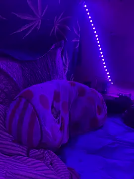 bugboy online show from 14, 3, 2026