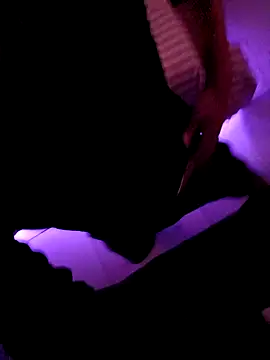 Damazo online show from 23, 2, 2026