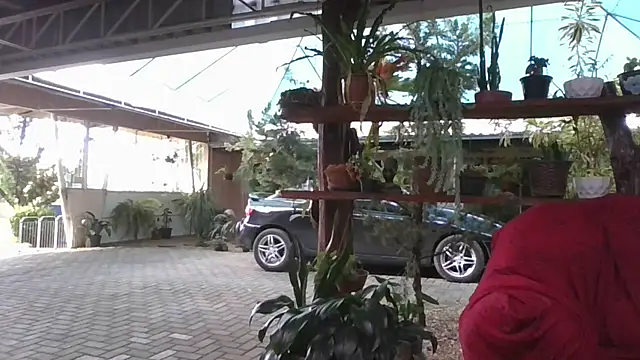 Kellynha Sweet online show from 10, 4, 2026