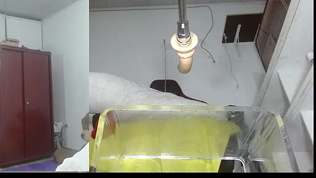 sammyEvans   online show from 7, 11, 2025