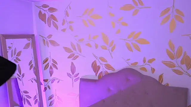 Misselektra   online show from 17, 11, 2025