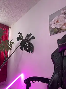 Snapshot of Noa_Sakura_ chatting on 28, 2, 2025 Noa Sakura online show from 28, 2, 2025