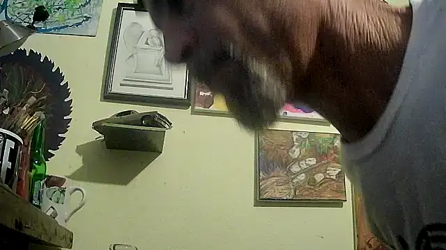 Snapshot of druetrue chatting on 9, 11, 2025 druetrue online show from 9, 11, 2025