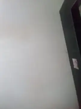 will1980 online show from 3, 3, 2026