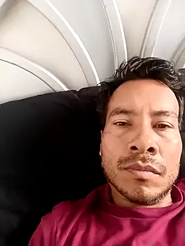 cachorro0527 online show from 26, 2, 2026