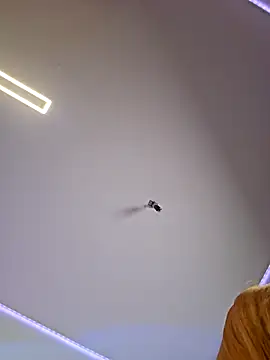 LessiaMia online show from 4, 4, 2026