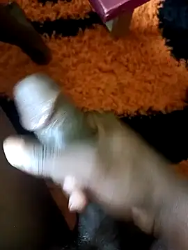 ElonDeking online show from 2, 3, 2025