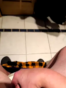 Jackauff69 online show from 14, 3, 2026