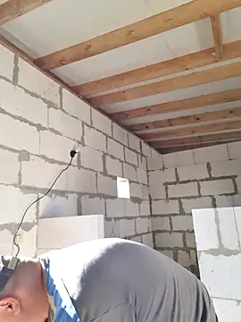 Pandasky online show from 5, 11, 2025