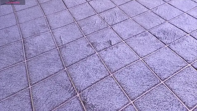 viviann evans online show from 13, 1, 2026