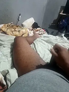 Mailsonp online show from 1, 4, 2026