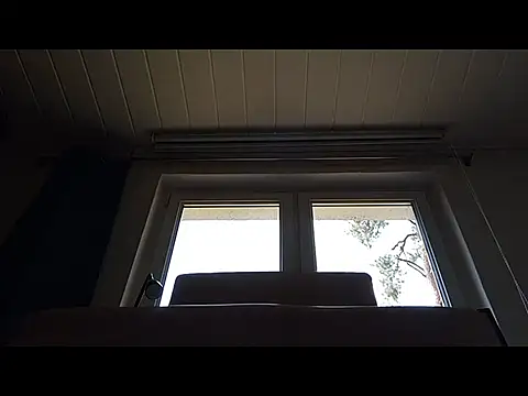 Rainfish online show from 24, 5, 2026