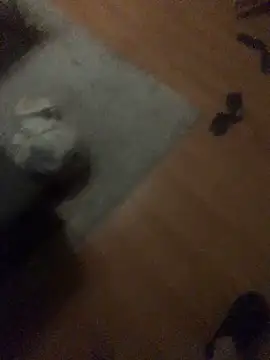 chrille82 online show from 21, 11, 2025