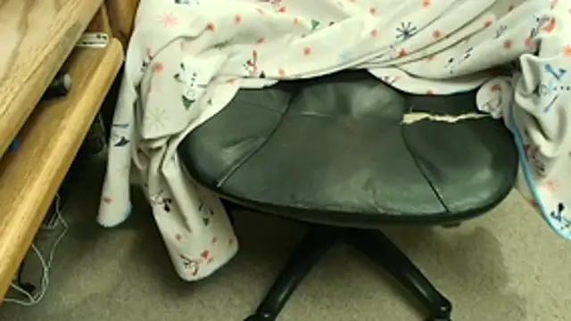 bigwurn online show from 1, 3, 2026