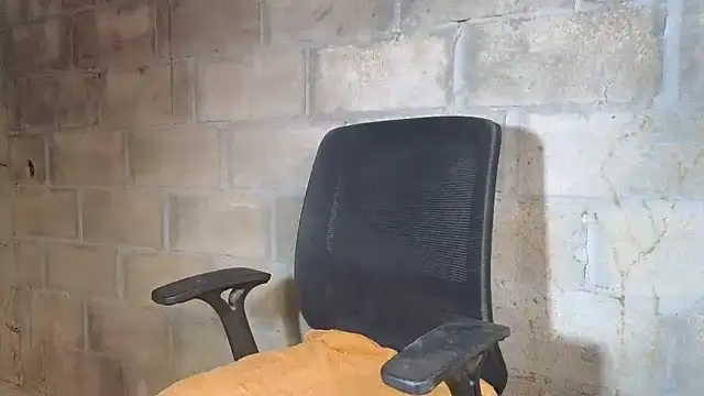 nzanizy online show from 1, 3, 2026