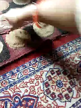 Snapshot of ohana143 chatting on 17, 3, 2025 ohana143 online show from 17, 3, 2025