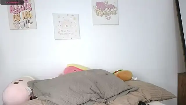 northly online show from 11, 2, 2026