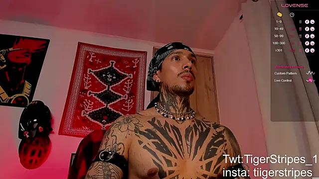 TigerStripes1  online show from 19, 3, 2026