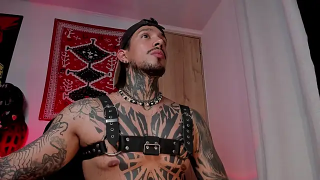 TigerStripes1  online show from 14, 3, 2026