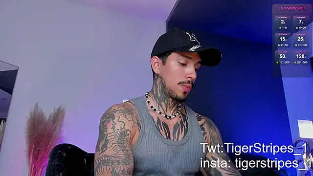 TigerStripes1  online show from 19, 3, 2025