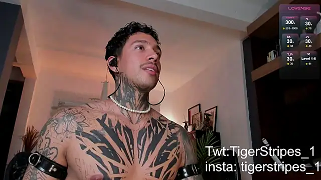 TigerStripes1  online show from 24, 2, 2025