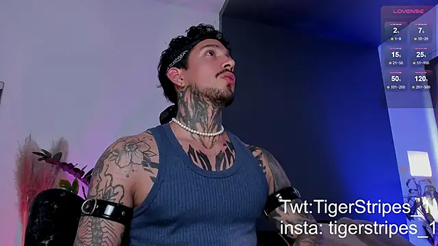 TigerStripes1  online show from 19, 3, 2025