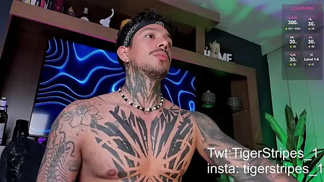 TigerStripes1  online show from 9, 3, 2025