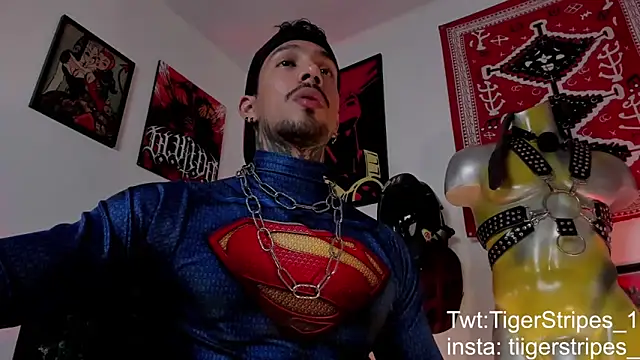 TigerStripes1  online show from 21, 3, 2026