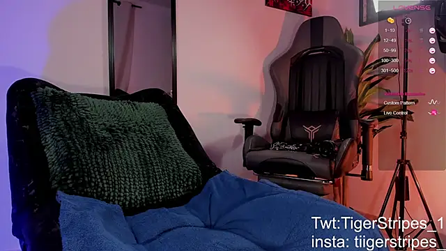 TigerStripes1  online show from 28, 3, 2026