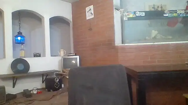 Snapshot of Stevenson988 chatting on 9, 6, 2026 Stevenson988 online show from 9, 6, 2026