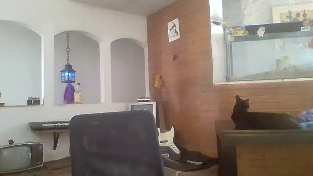 Stevenson988 online show from 14, 1, 2026